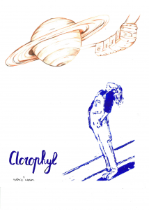 clorophyl